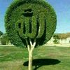 user979744166615
