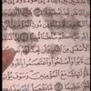 user8844614097190