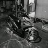qifa44