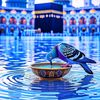 6387shaban
