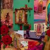 not.guadalupe2
