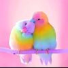 user1091040876244
