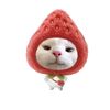 callme_shs