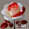 islamicv875