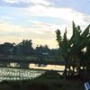 khang.mas_0