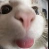 hnkto_07