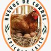 Avicola Leito 🥚🍳🐔
