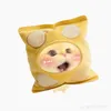 thieugiabackinh27