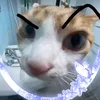 jackieiscooked
