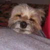 oliver.westphal.k