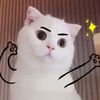 Cute.pet.life58