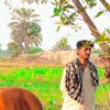 aliakbarmarr