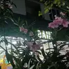 mariamka565
