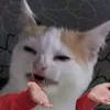 fioreast
