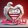 user3077843181478