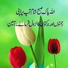sharaz.gujjar11