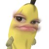 riniengene