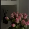 userr_212l