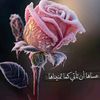 tareq0659