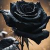 user2960566169705