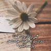 user8741392837943