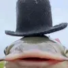 arsenodkftc