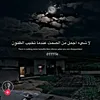 zenaqasim3