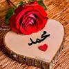 mohamed__arifi