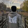 ali_d843