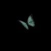 zll9llc