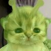 ningruumm22
