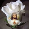 elmerreyes1459