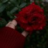 januaryflower0