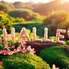 shalley074