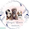 harperhavendoodles