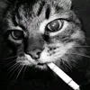 zilly.boyyy