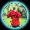 rakib.22227