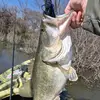 fishernalls96