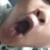 bendolsuk4hawuk