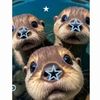 starlaceddolli