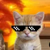 lufizqkvq8k