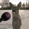 the.finnish.farmer