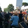 gajah_tubruk19