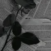 .aali58