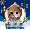 sity_mrm0