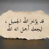 shamsyasser3829