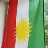 47.ali_1