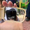 pwallopersy4