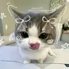 pinkry_lykry