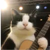 gabriel.in.rock